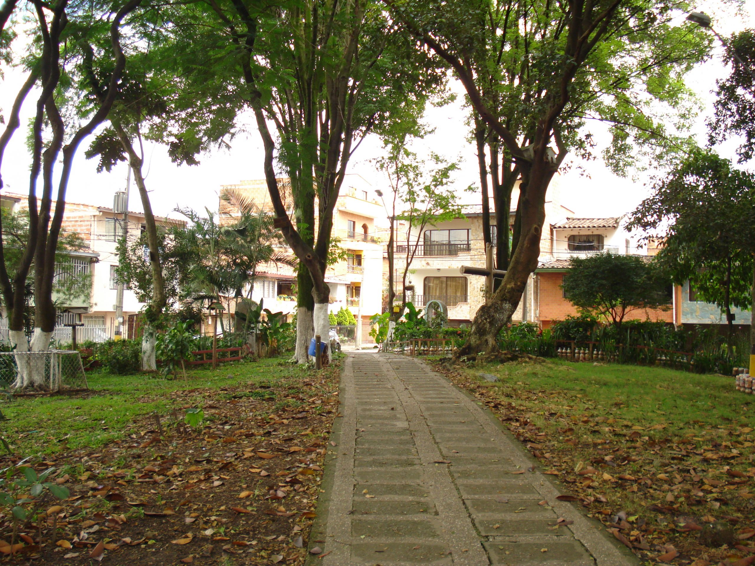 DSC03388